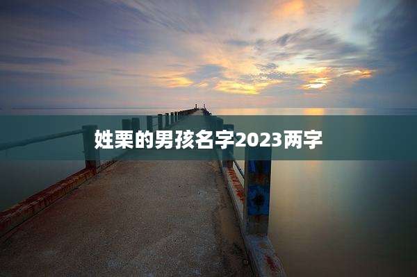 姓栗的男孩名字2023两字