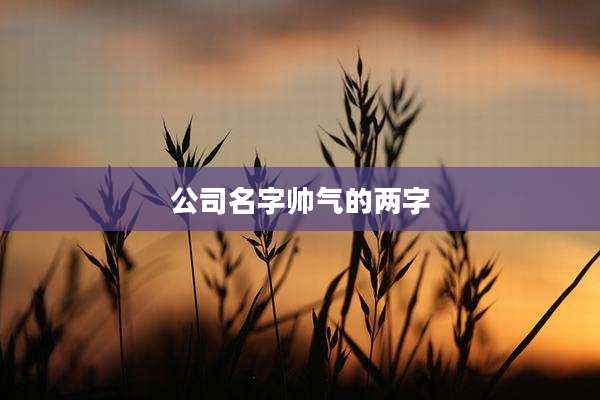 公司名字帅气的两字