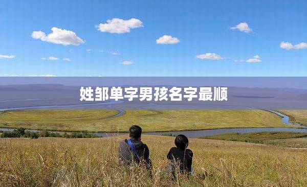姓邹单字男孩名字最顺