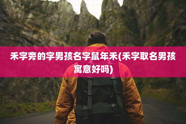 禾字旁的字男孩名字鼠年禾(禾字取名男孩寓意好吗)