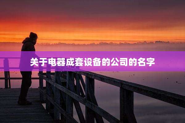 关于电器成套设备的公司的名字