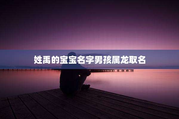 姓禹的宝宝名字男孩属龙取名