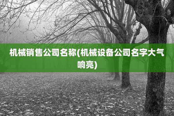 机械销售公司名称(机械设备公司名字大气响亮)