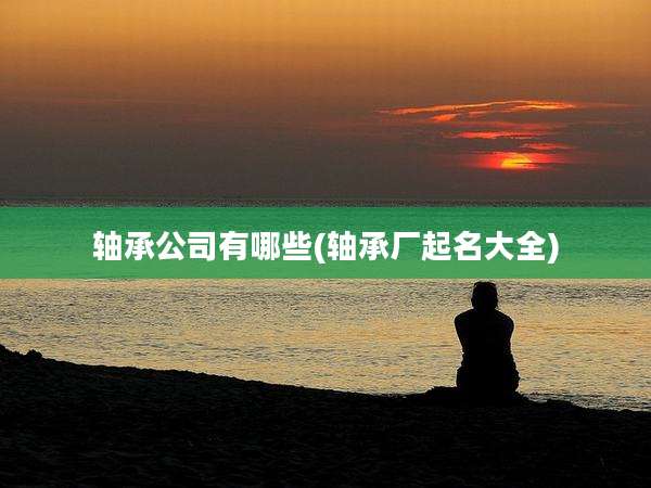 轴承公司有哪些(轴承厂起名大全)