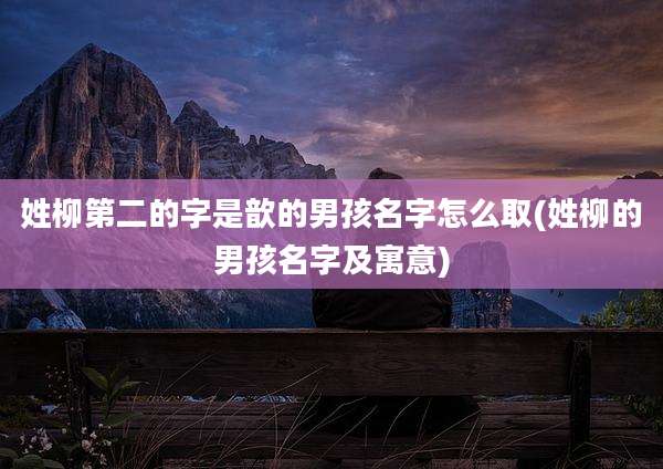 姓柳第二的字是歆的男孩名字怎么取(姓柳的男孩名字及寓意)