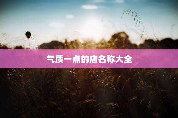 气质一点的店名称大全