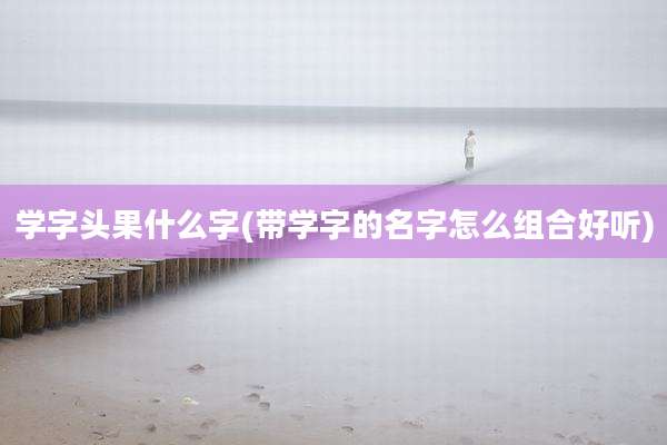 学字头果什么字(带学字的名字怎么组合好听)