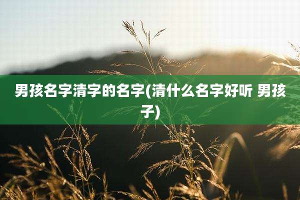 男孩名字清字的名字(清什么名字好听 男孩子)