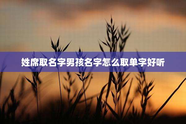 姓席取名字男孩名字怎么取单字好听