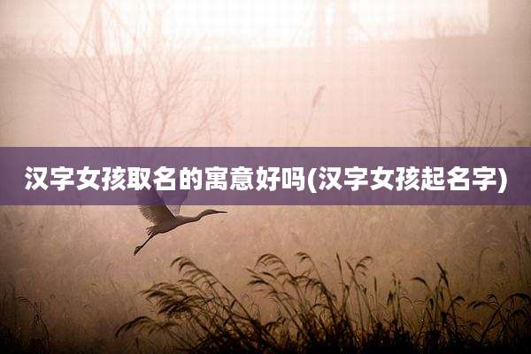 汉字女孩取名的寓意好吗(汉字女孩起名字)