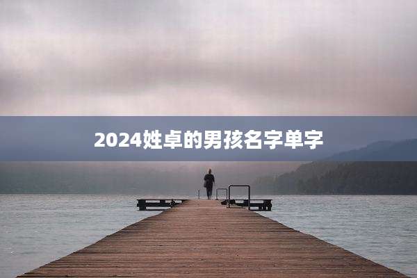 2024姓卓的男孩名字单字