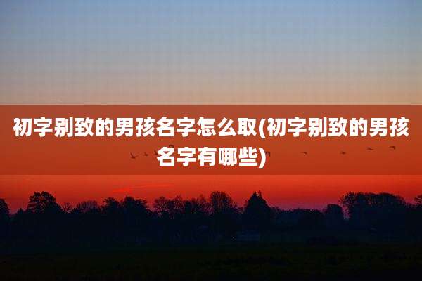 初字别致的男孩名字怎么取(初字别致的男孩名字有哪些)
