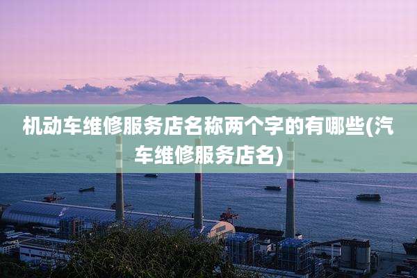 机动车维修服务店名称两个字的有哪些(汽车维修服务店名)