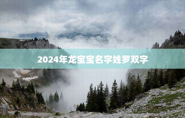 2024年龙宝宝名字姓罗双字