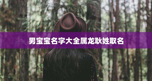 男宝宝名字大全属龙耿姓取名