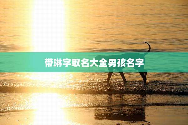 带琳字取名大全男孩名字