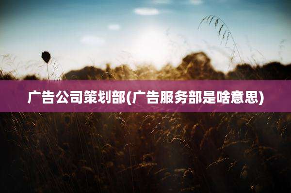 广告公司策划部(广告服务部是啥意思)
