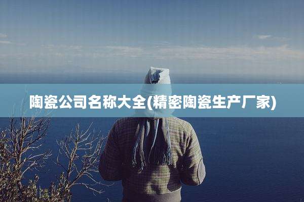陶瓷公司名称大全(精密陶瓷生产厂家)