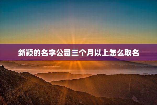 新颖的名字公司三个月以上怎么取名