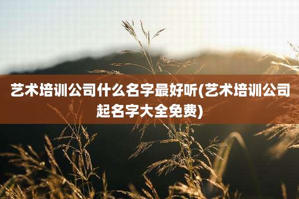 艺术培训公司什么名字最好听(艺术培训公司起名字大全免费)