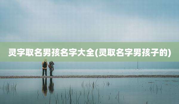 灵字取名男孩名字大全(灵取名字男孩子的)