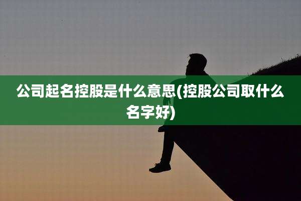 公司起名控股是什么意思(控股公司取什么名字好)