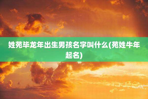 姓苑毕龙年出生男孩名字叫什么(苑姓牛年起名)