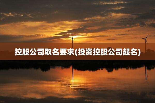 控股公司取名要求(投资控股公司起名)