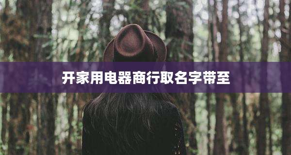 开家用电器商行取名字带至