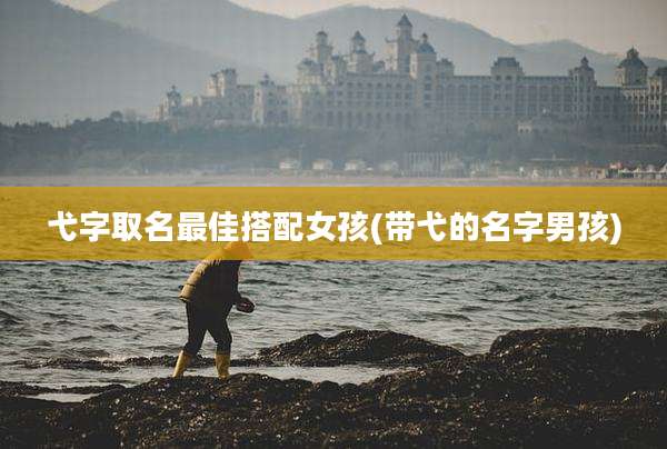 弋字取名最佳搭配女孩(带弋的名字男孩)