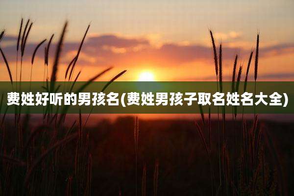 费姓好听的男孩名(费姓男孩子取名姓名大全)