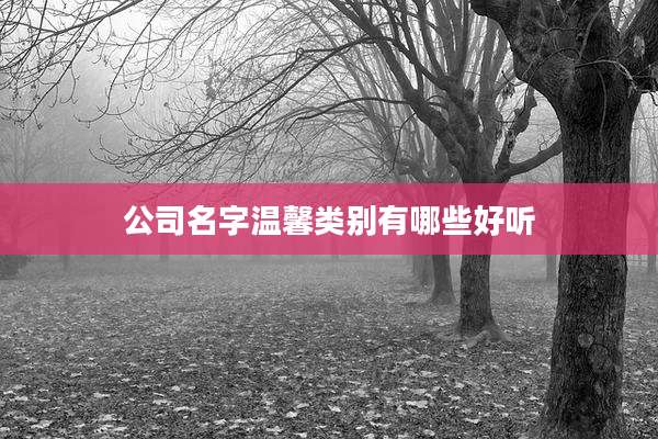 公司名字温馨类别有哪些好听