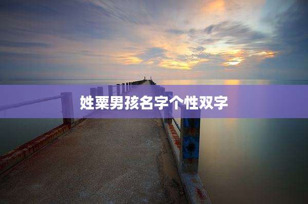 姓粟男孩名字个性双字