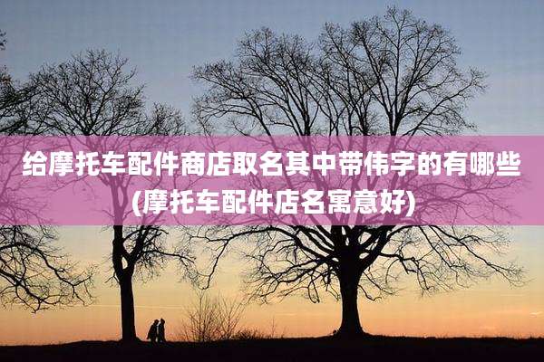 给摩托车配件商店取名其中带伟字的有哪些(摩托车配件店名寓意好)