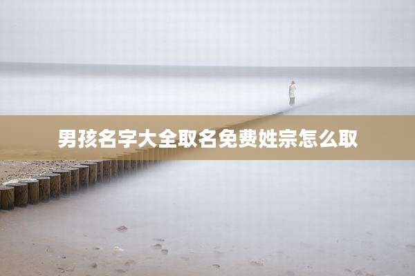 男孩名字大全取名免费姓宗怎么取