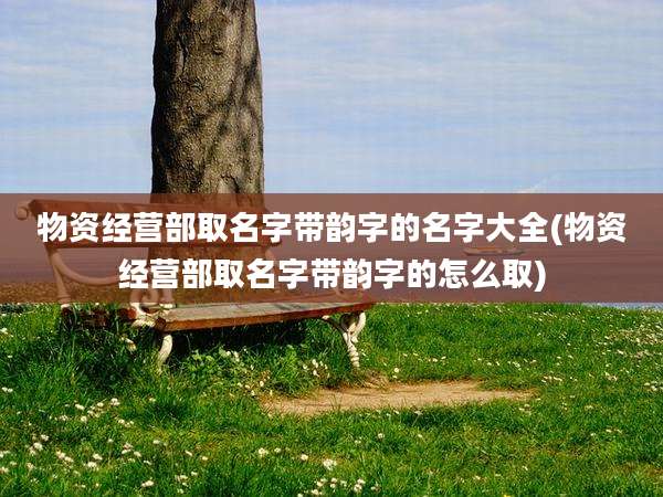 物资经营部取名字带韵字的名字大全(物资经营部取名字带韵字的怎么取)