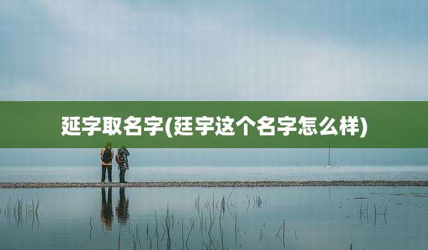 延字取名字(廷宇这个名字怎么样)