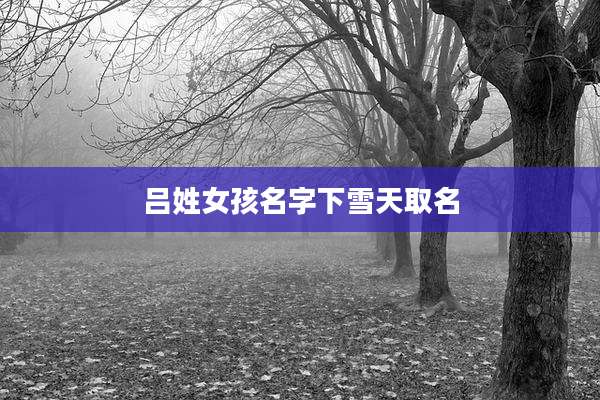 吕姓女孩名字下雪天取名