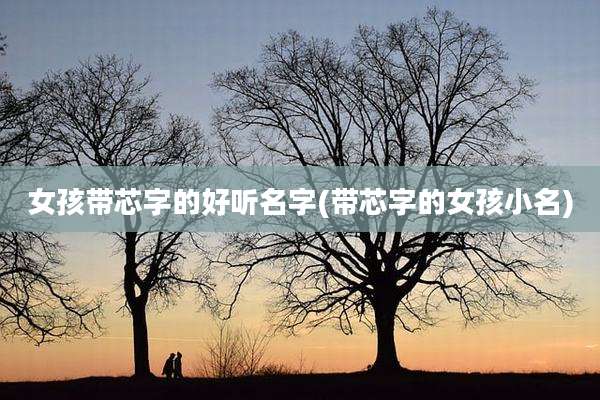 女孩带芯字的好听名字(带芯字的女孩小名)