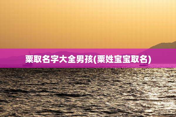 粟取名字大全男孩(粟姓宝宝取名)