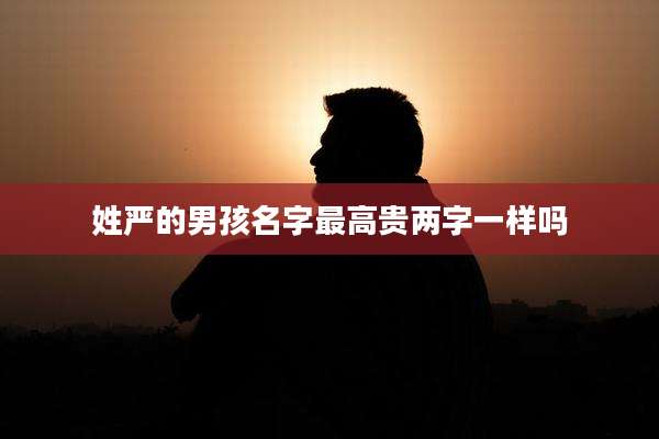 姓严的男孩名字最高贵两字一样吗