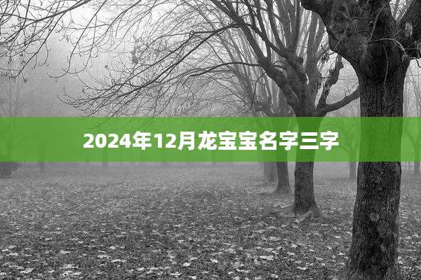 2024年12月龙宝宝名字三字
