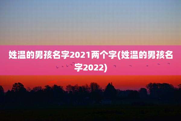 姓温的男孩名字2021两个字(姓温的男孩名字2022)