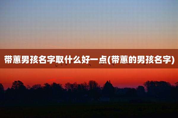 带蕙男孩名字取什么好一点(带蕙的男孩名字)