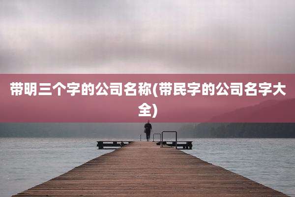 带明三个字的公司名称(带民字的公司名字大全)