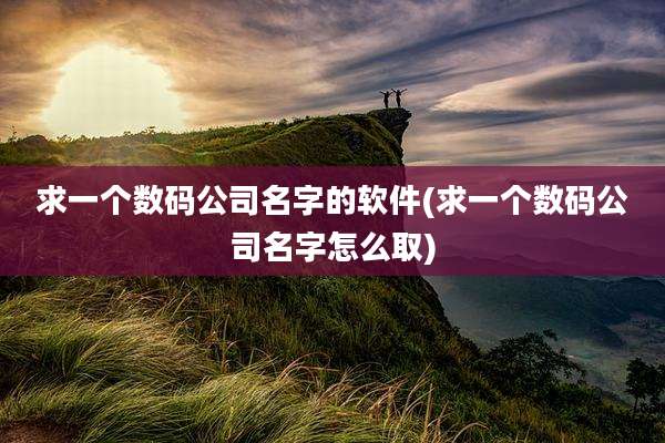 求一个数码公司名字的软件(求一个数码公司名字怎么取)