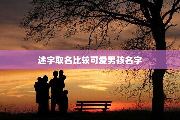 述字取名比较可爱男孩名字