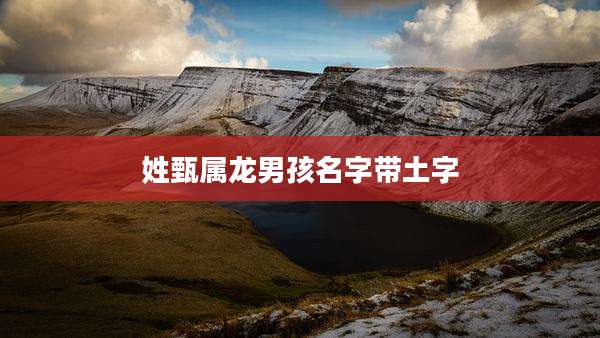 姓甄属龙男孩名字带土字