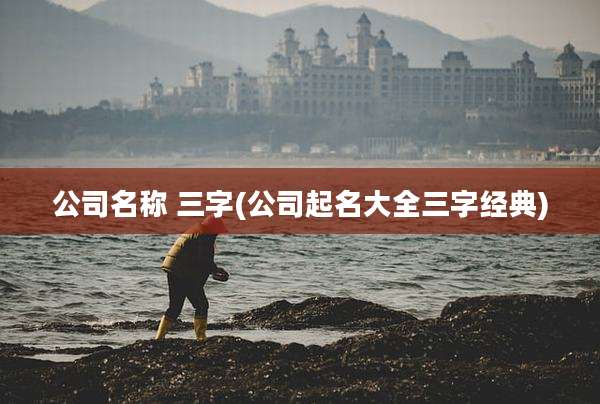公司名称 三字(公司起名大全三字经典)