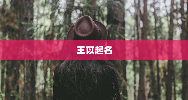王苡起名